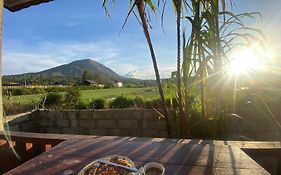 Mount Batur Homestay